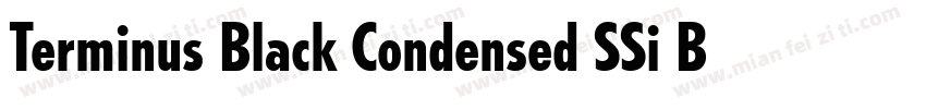 Terminus Black Condensed SSi Black字体转换